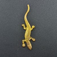 Ящерица плоская жёлтая Ящерица плоская жёлтая